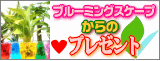 �u���[�~���O�X�P�[�v ����̃v���[���g�I