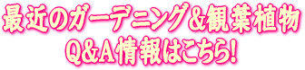 �ŋ߂̃K�[�f�j���O&�ϗt�A���p���`���͂�����I