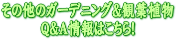 ���̑��̃K�[�f�j���O���ϗt�A���p���`���͂�����I