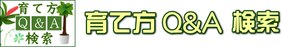 �K�[�f�j���O�E�ϗt�A�� ��ĕ� �p���`