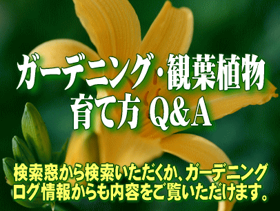 �K�[�f�j���O��ϗt�A���̈�ĕ� Q&A