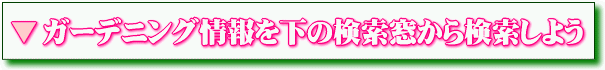 �K�[�f�j���O�������̌��������猟�����悤��