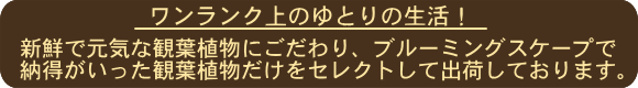 こだわり