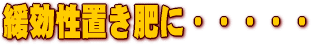 �Ɍ����u����ɁE�E�E�E