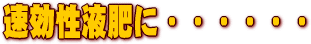 速効性液肥に・・・・・・