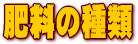 �엿�̎��
