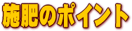 �엿�̎��