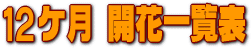 12�P�� �J�Ԉꗗ�\