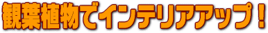 �����S�҂̂��߂̊�b�u�����@�ϗt�A���ŃC���e���A�A�b�v�I