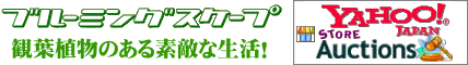 ���տ�ʪ�������������