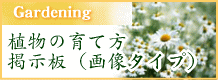 �K�[�f�j���O����f���� �摜���e�\�^�C�v