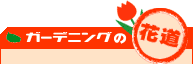 �K�[�f�j���O�̉ԓ�