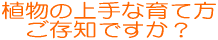 �A���̏��Ȉ�ĕ�,