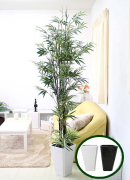 �l�H ���| ��1.8�� �I���W�i���񂹐A���d����++�y�z���C�g���픫�z�J�o�[