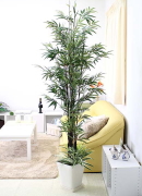 �l�H ���| ��1.8�� �I���W�i���񂹐A���d����+�X�N�G�A�z���C�g���J�o�[