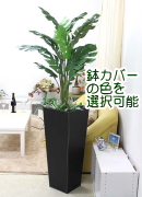 人工 モンステラ