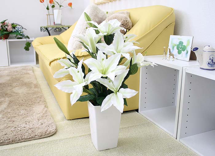 �l�H �J�T�u�����J ��60����