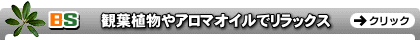 �A���}�I�C��