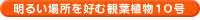 ���邢�ꏊ�̊ϗt�A�����������₨�X�Ȃǂɂ������H
