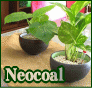 �|�Y��A�����Ă������ECO�C��