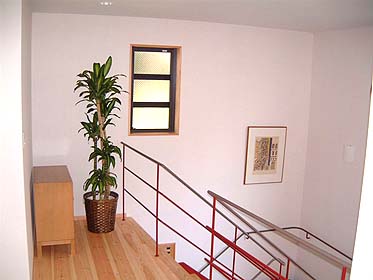 �K���̖� 10���{�o�X�P�b�g���J�o�[