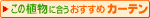 �������߃J�[�e��