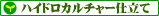 �n�C�h���J���`���[�d����