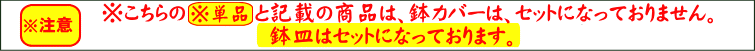鉢カバーは、セットになっておりません。鉢皿付きです。