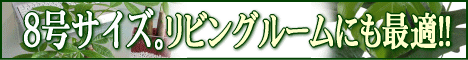 �ϗt�A��