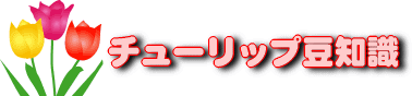 �`���[���b�v���m���� 
