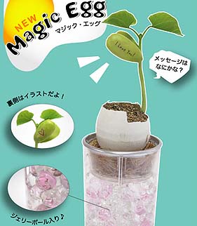 ���̒����炱��ɂ��́�MAGIC EGG�u�}�W�b�N �G�b�O�v ���܂����疲�̂���͔|�Z�b�g