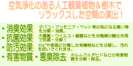 ���G�}�̐���