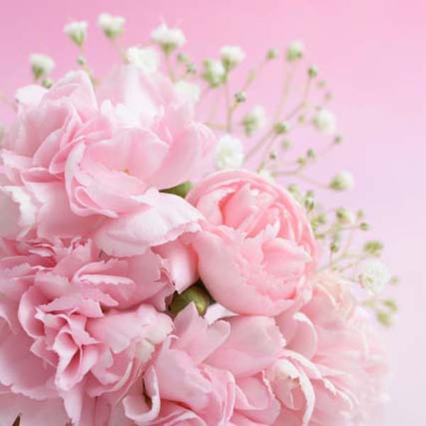 �J�[�l�[�V����