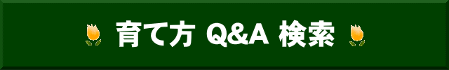 ĕQ&A 