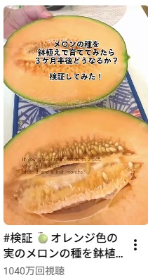 YouTube動画の再生回数1,040万回を示すスクリーンショット