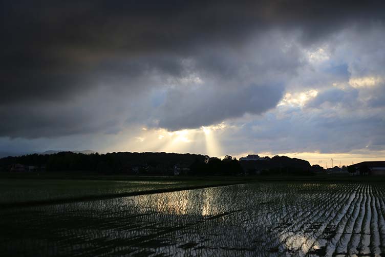 九州北部豪雨支援