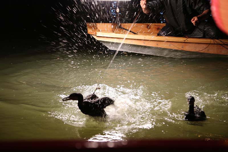 九州北部豪雨から再開の朝倉市筑後川の鵜飼 うかい 観葉植物 ブルーミングスケープ ブログ