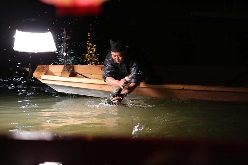 九州北部豪雨から再開の朝倉市筑後川の鵜飼 うかい 観葉植物 ブルーミングスケープ ブログ