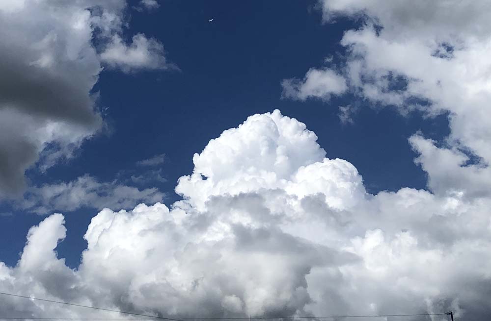 夏の空