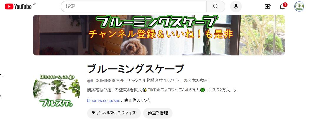 YouTubeでフォロワーさん1万9000人突破に感謝！