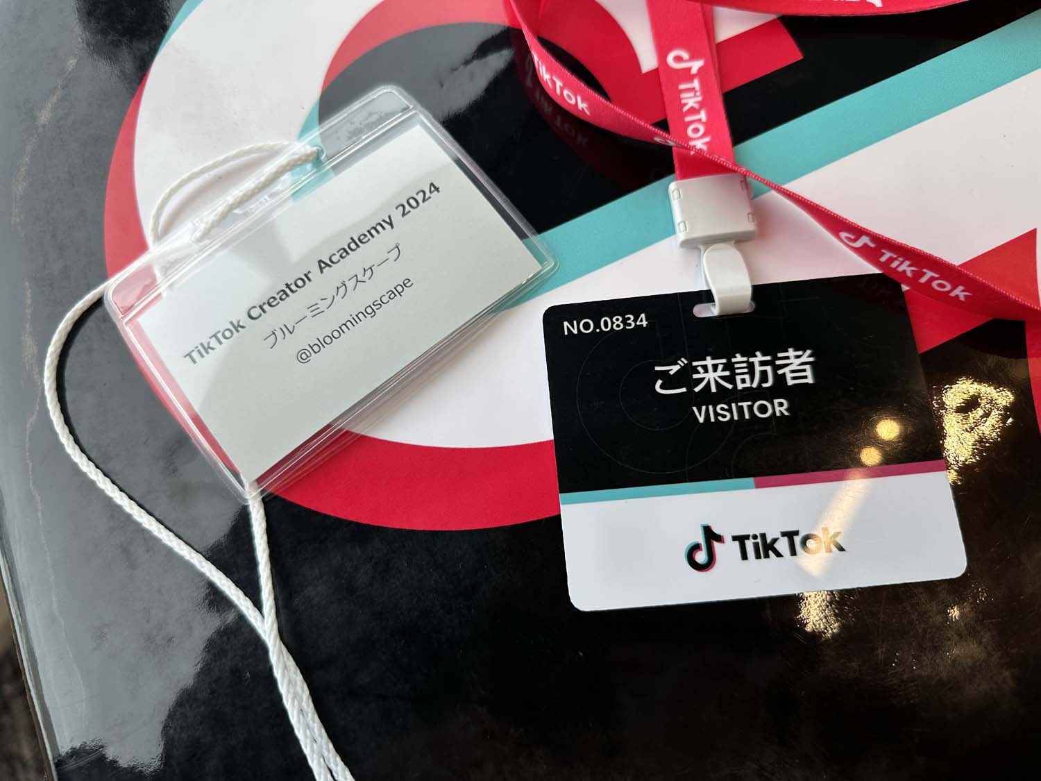 TikTok Creator Academy2024