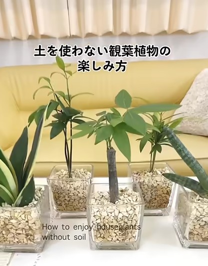 LINE VOOMでの受賞