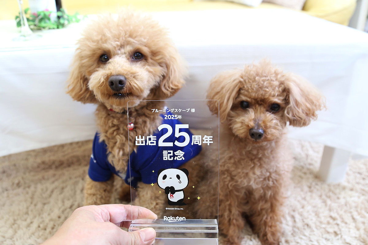 ブルーミングスケープの楽天市場さん出店25周年