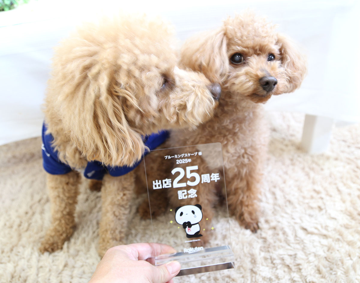 ブルーミングスケープの楽天市場さん出店25周年