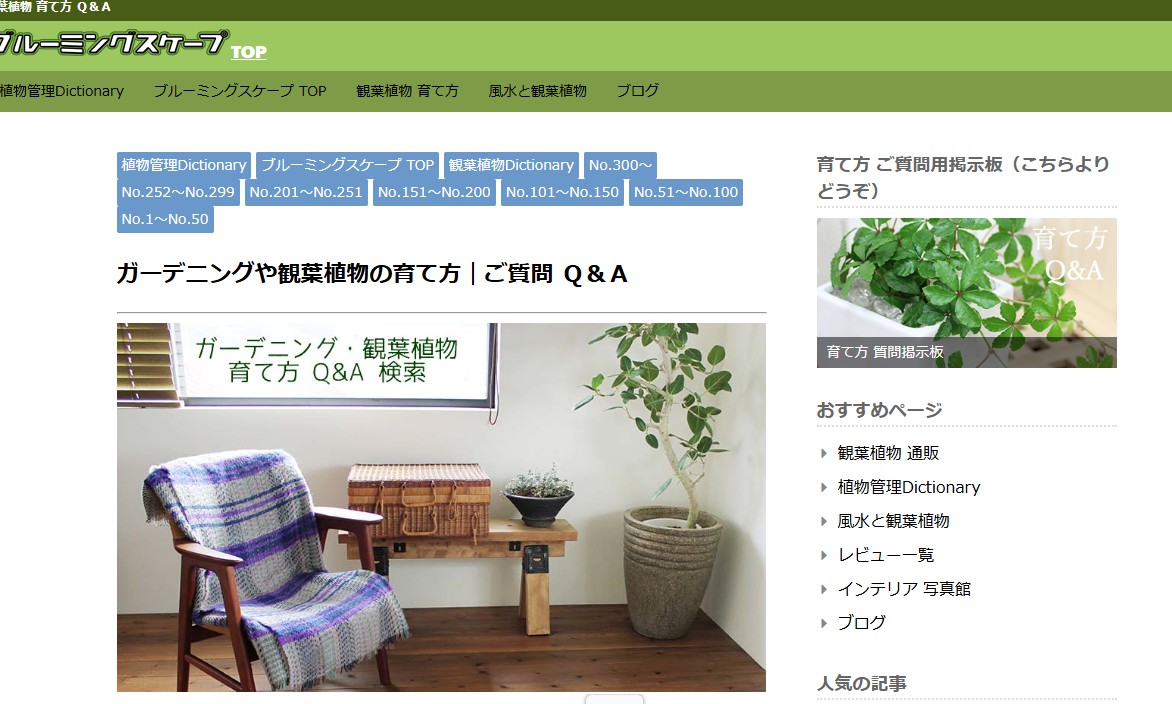 ガーデニングや観葉植物の育て方｜ご質問 Ｑ＆Ａ
