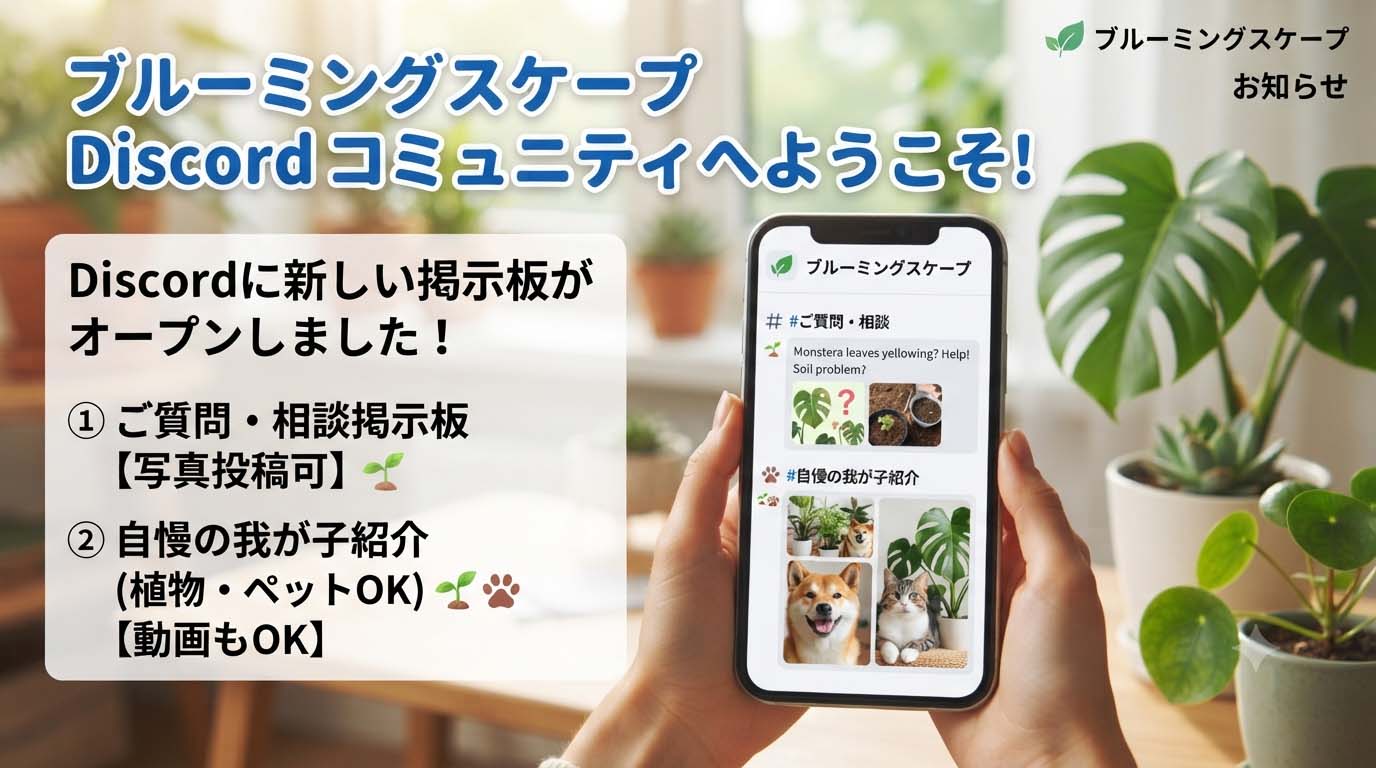 ブルーミングスケープ・Discordコミュニティ 
