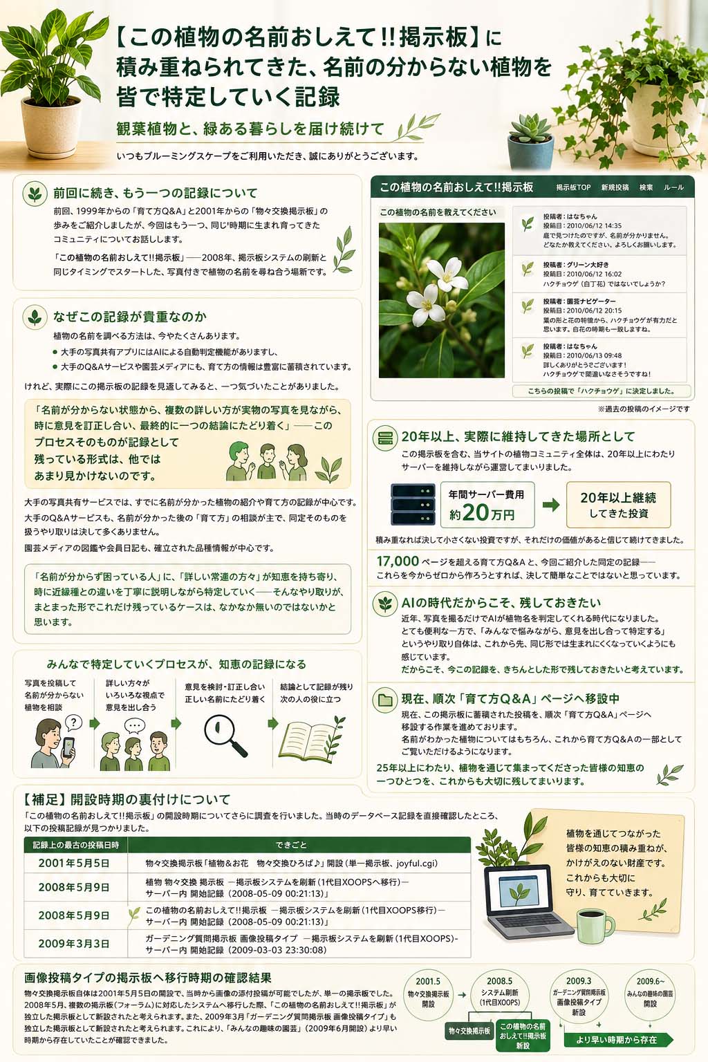 この植物の名前おしえて!!掲示