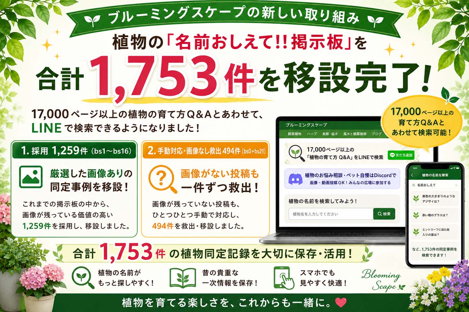 この植物の名前おしえて!!掲示板