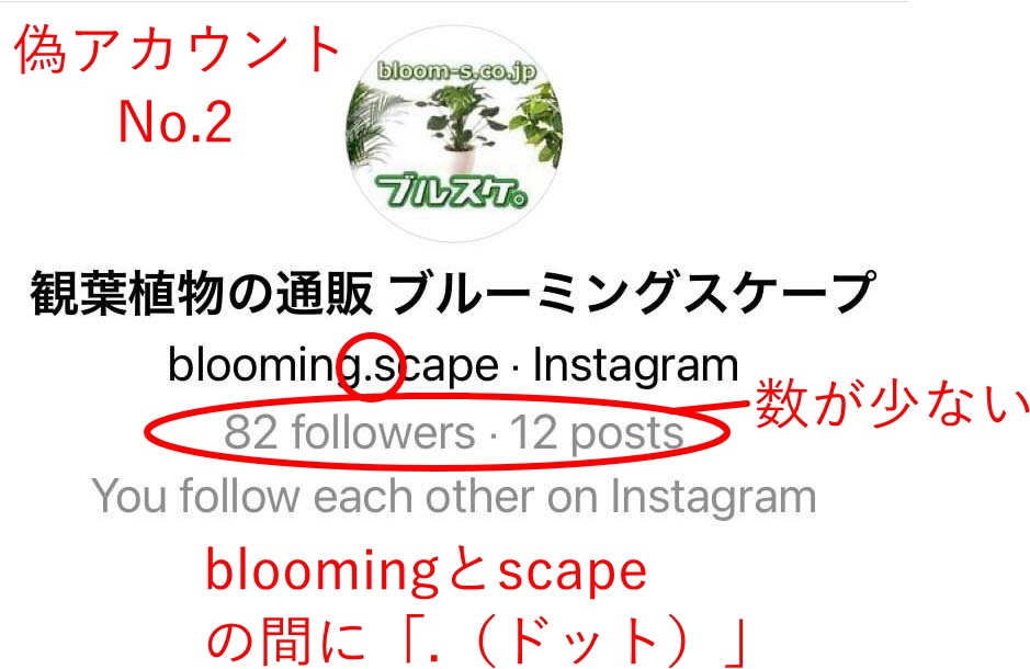 インスタでのなりすましカウント