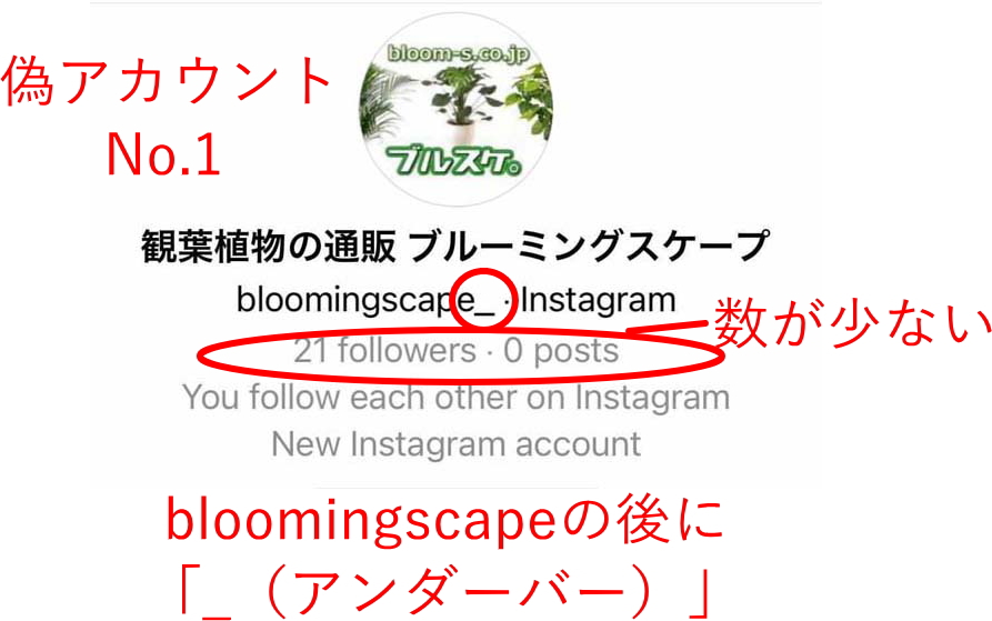 インスタでのなりすましカウント